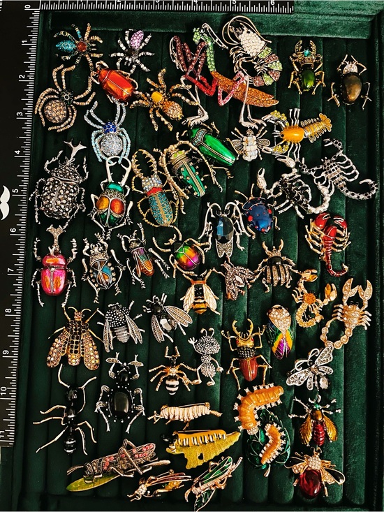 Jewelry - Lot 50 Bug Insect Brooches Pins Rhinestone Enamel Beetle Spider Scorpion Mixed